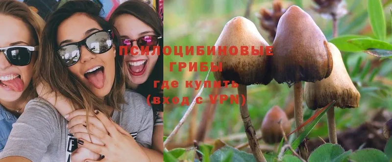 Галлюциногенные грибы Psilocybine cubensis  ОМГ ОМГ вход  Ишимбай  сколько стоит 